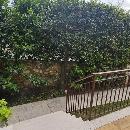 Garden 2* 托里德尔贝纳科